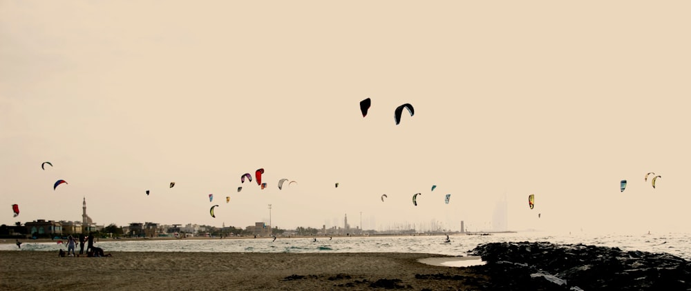 flock of flying birds long exposure photography