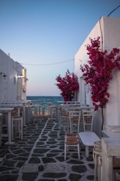 white wooden table and chairs near body of water