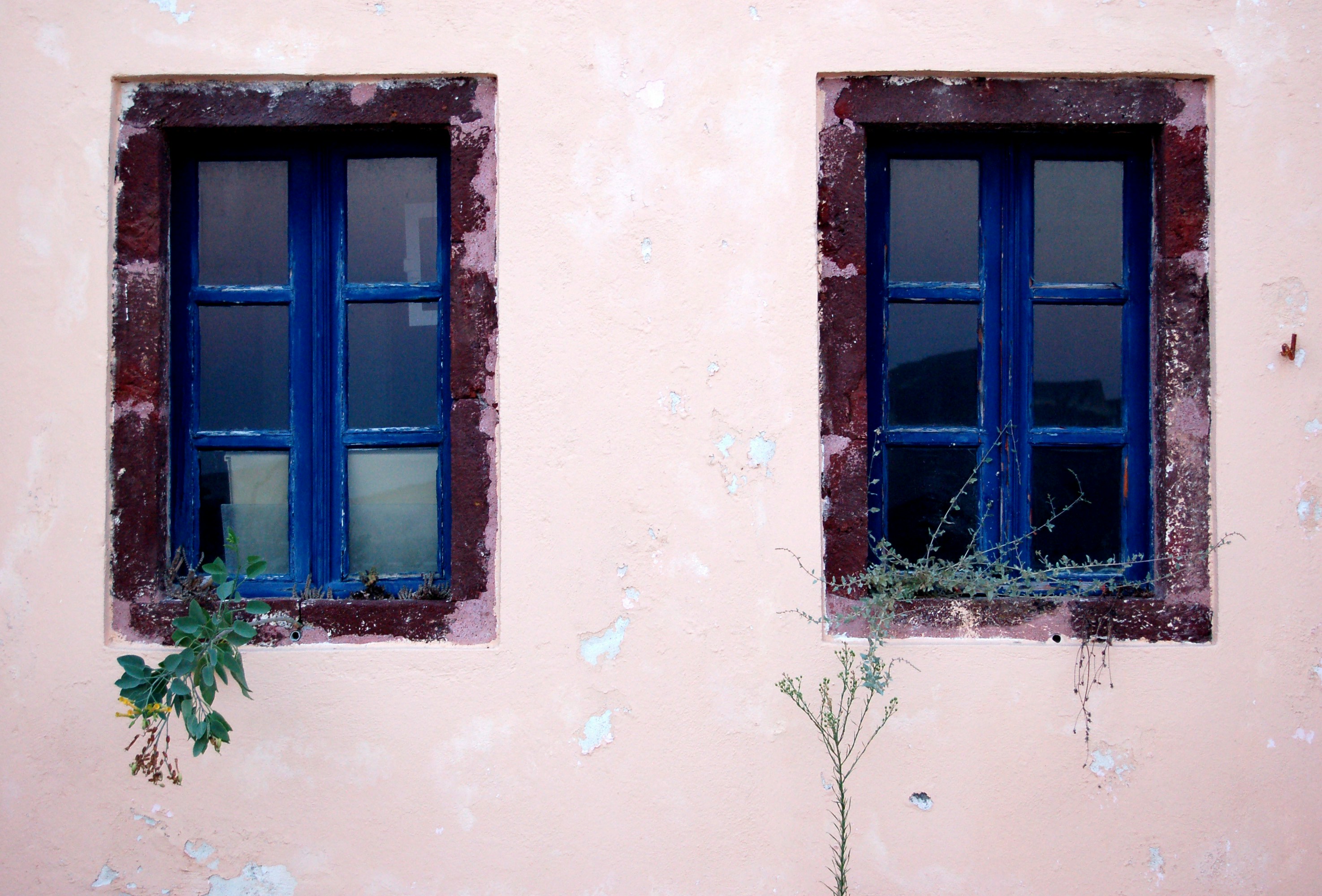 front view of blue windows