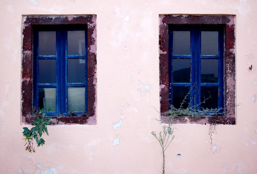 front view of blue windows