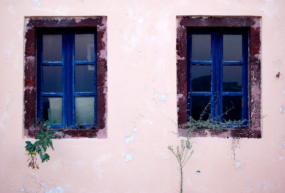 Vista frontale delle finestre blu