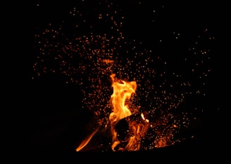 bonfire surrounded by embers