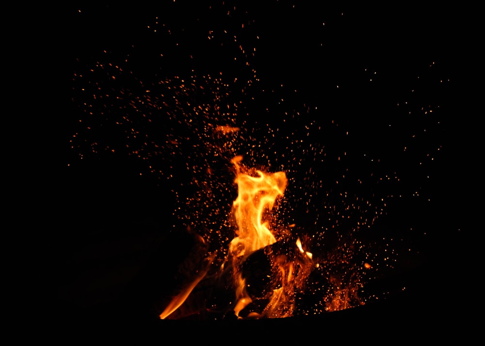 bonfire surrounded by embers