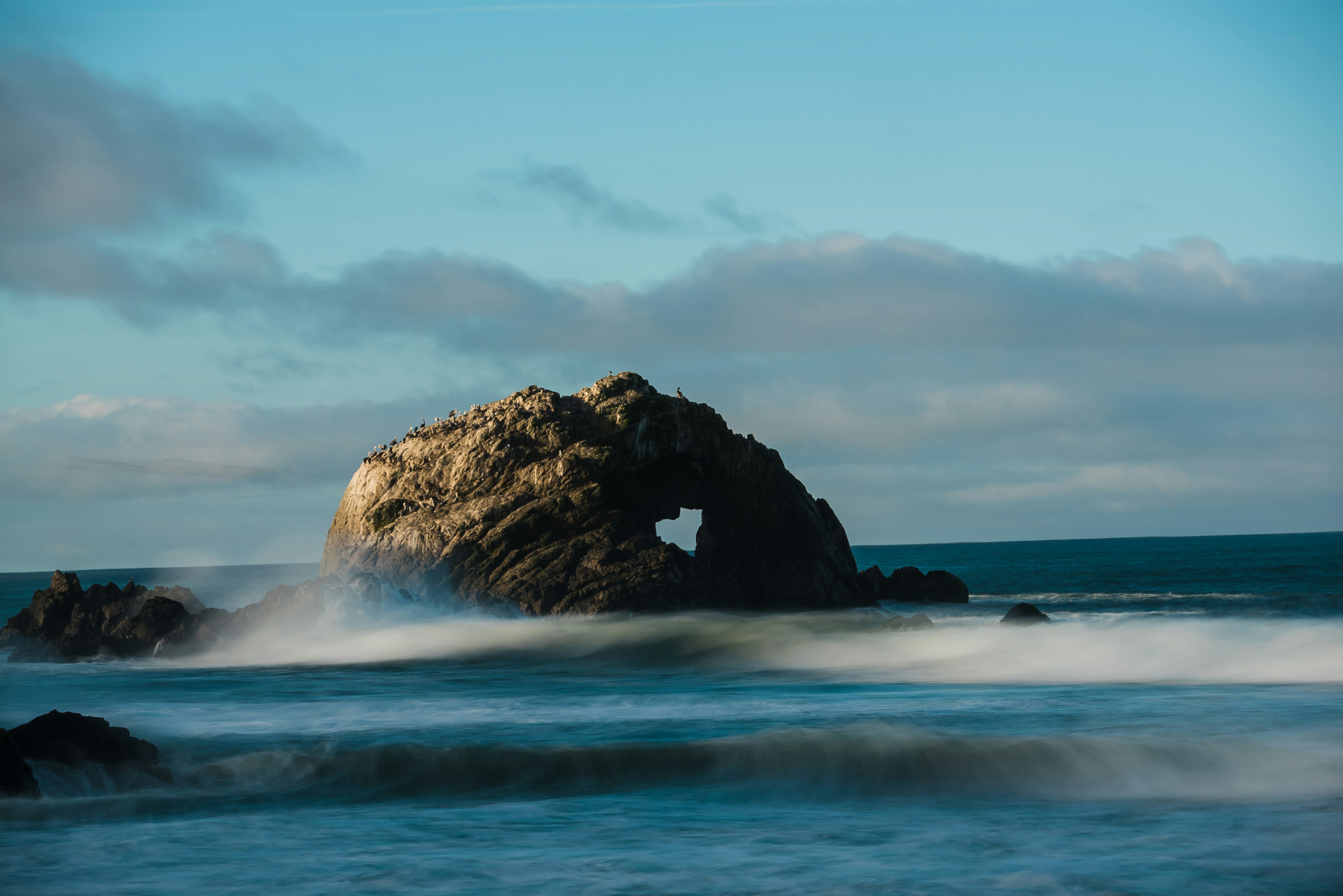 Man Dies After Running Into Water After Dog at Ocean Beach