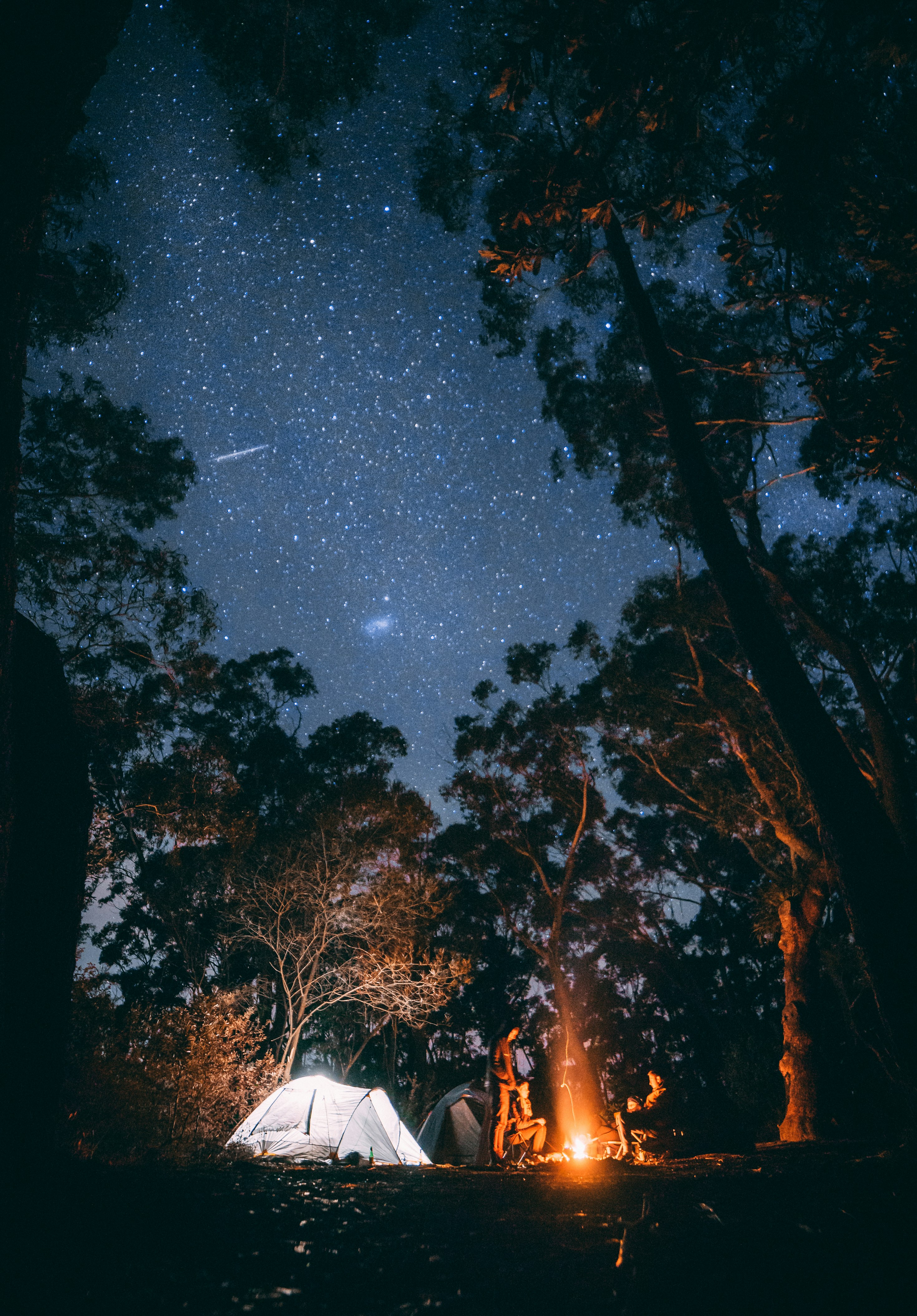 Desert Camping