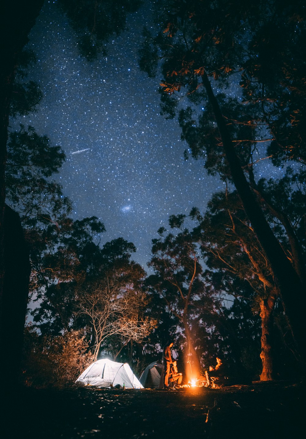 Person, die in der Nähe eines Lagerfeuers sitzt, umgeben von Bäumen