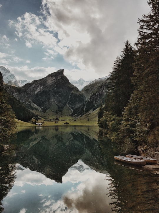 lake surrounded by mountains and trees during daytime in Seealpsee Switzerland