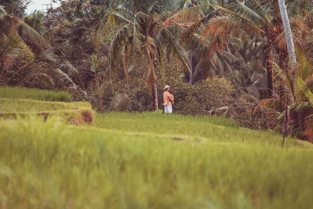 갈색 밀짚 모자를 쓴 남자가 코코넛 나무 옆 언덕에 서 있습니다.