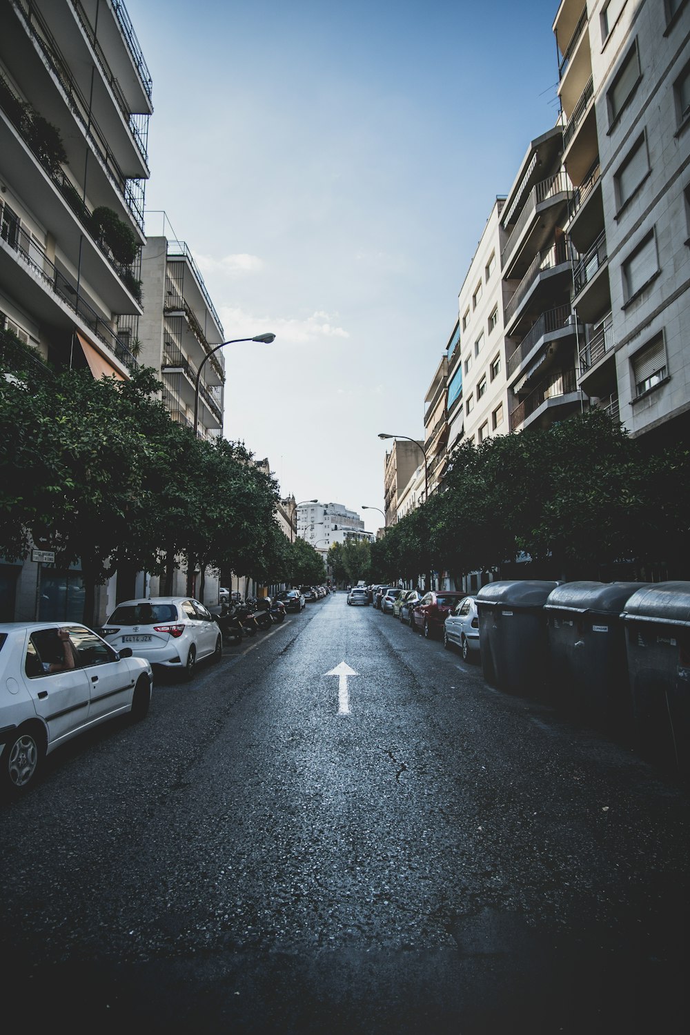 cars parked beside trees at road near concrete buildings at daytime