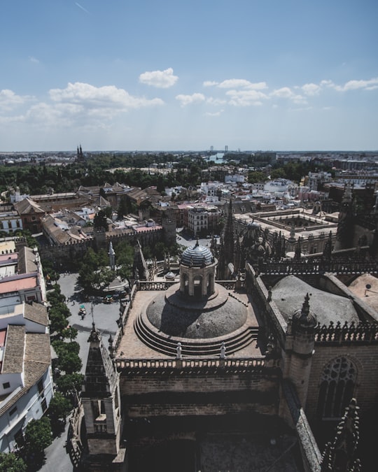 Catedral de Sevilla things to do in El Castillo de las Guardas