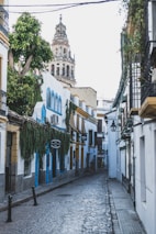 A narrow, cobblestone street lined with traditional Spanish buildings adorned with creeping vines. The walls of the buildings are mostly white with accents of blue and yellow, and there are wrought iron balconies. In the background, a historic tower rises against a gray sky.