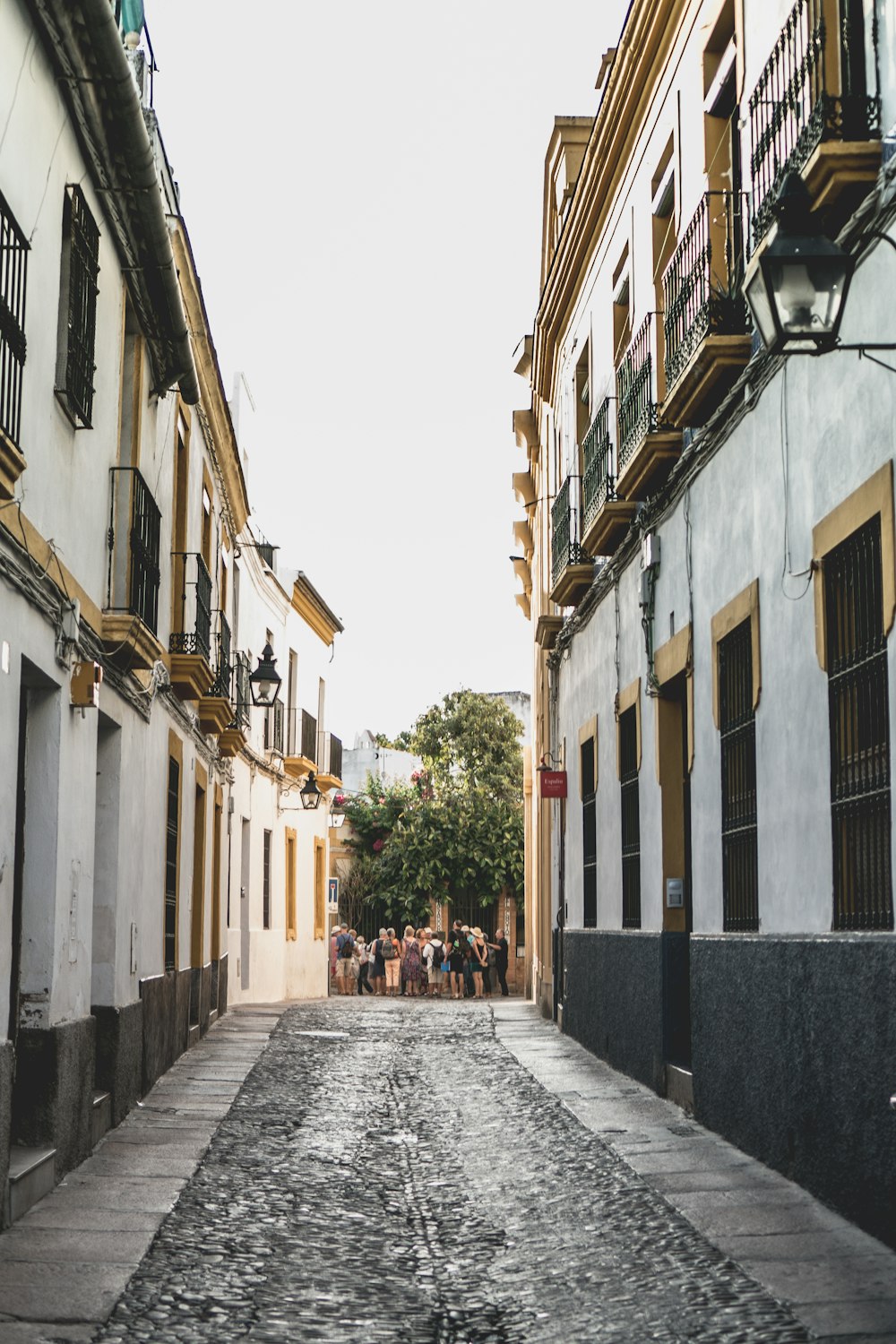 people walking on street between concrete buildings during daytime