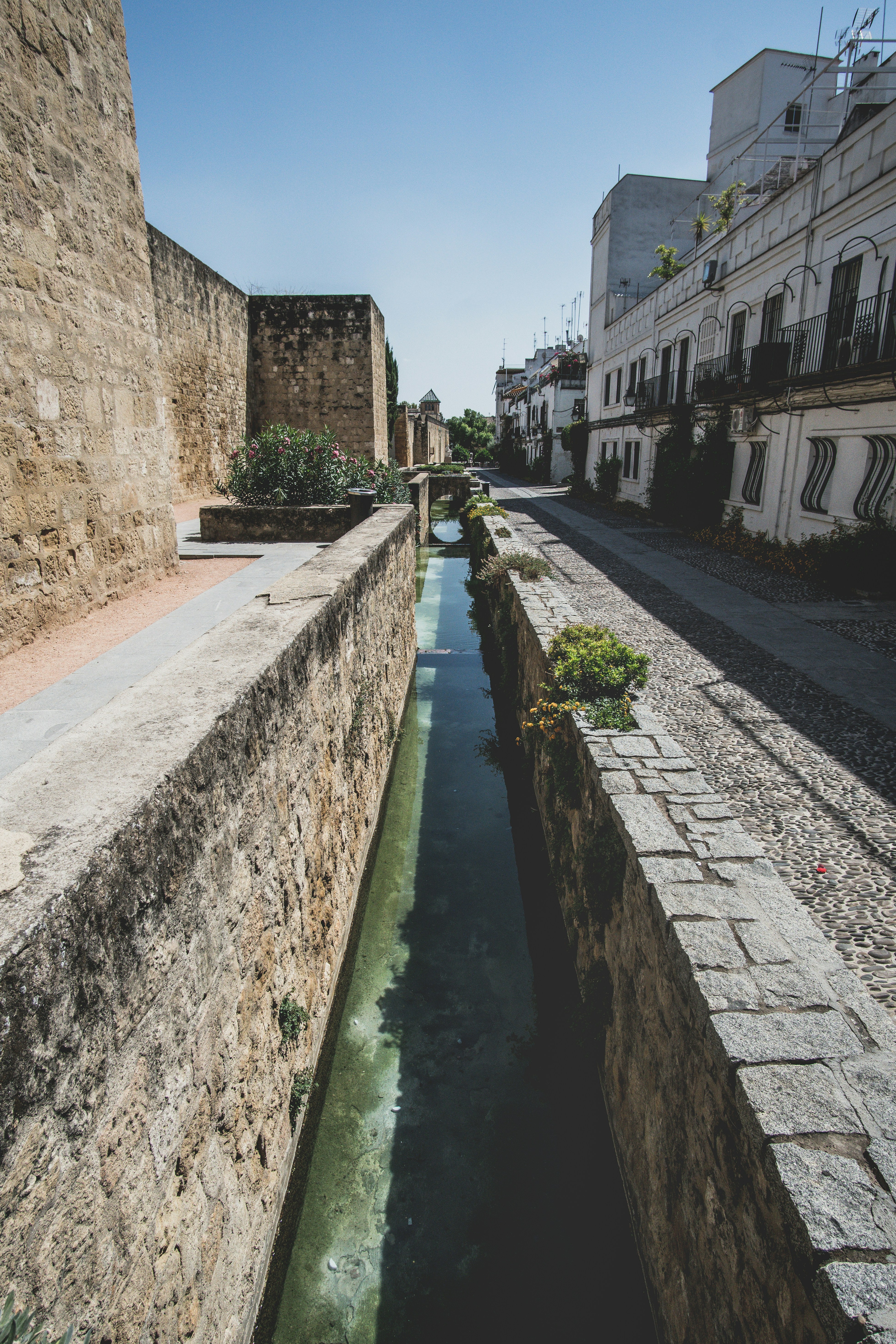 people walking on concrete pathway beside river during daytime