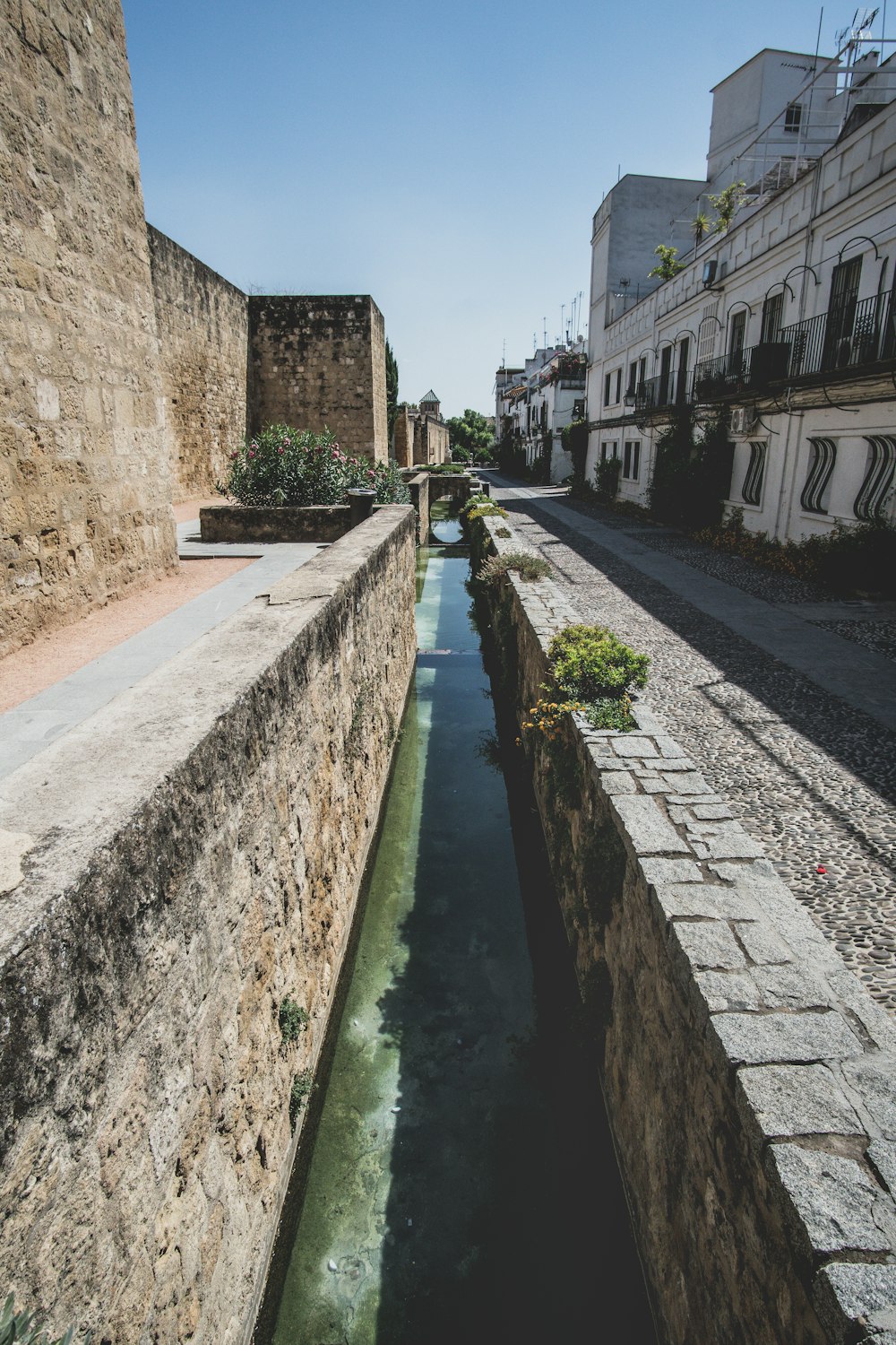 people walking on concrete pathway beside river during daytime