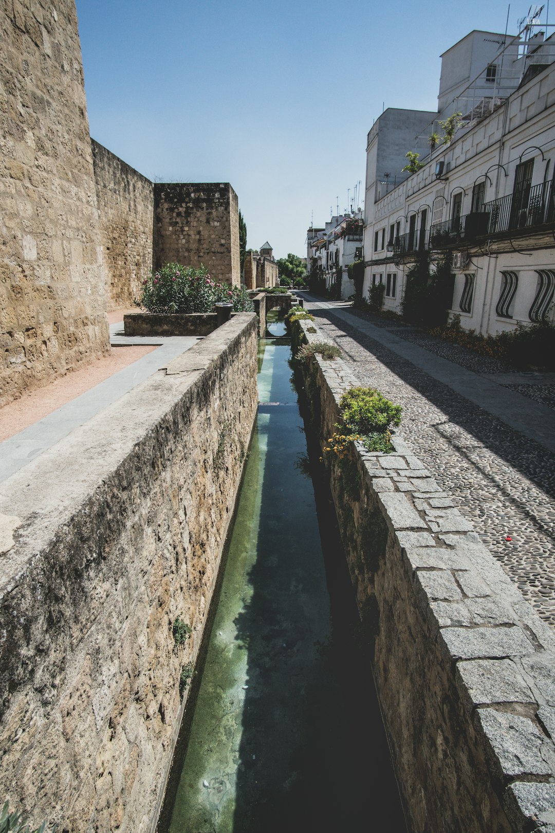 people walking on concrete pathway beside river during daytime