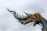 An intricately designed dragon sculpture with elaborate detailing and vibrant colors. Its face is adorned with curling tendrils and sharp teeth, while its body scales are artistically rendered. The dragon's head is positioned against a cloudy sky, showcasing its mythological features.
