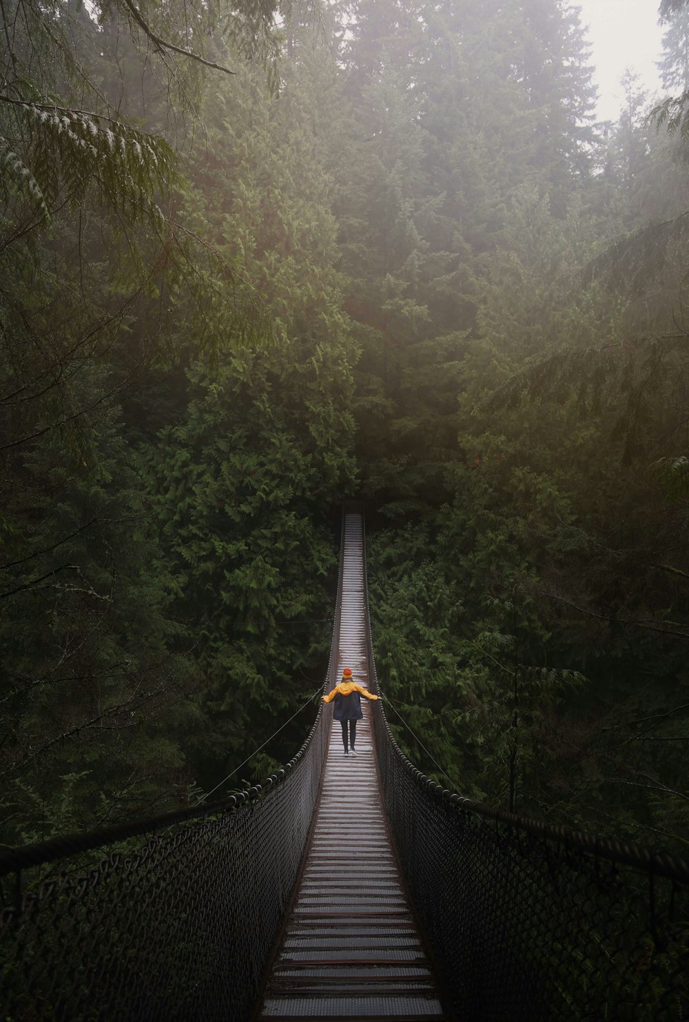 person walking on brown wooden bridge near green tall tress during daytime