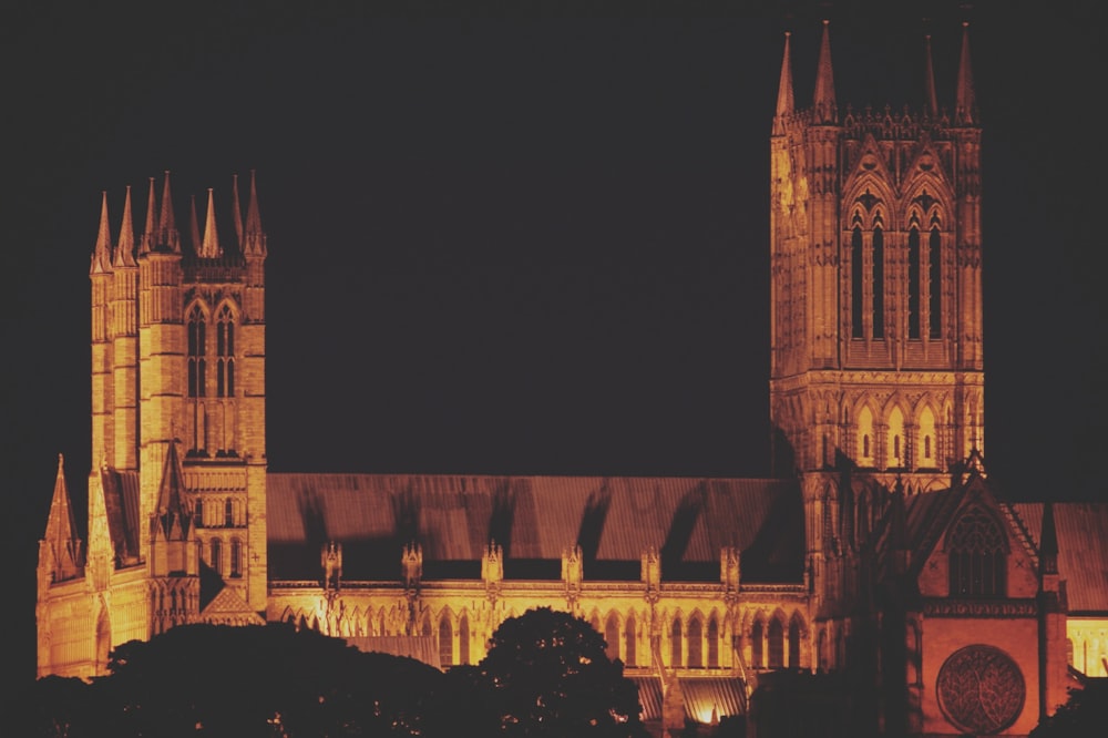 cathedral surrounded by trees at night