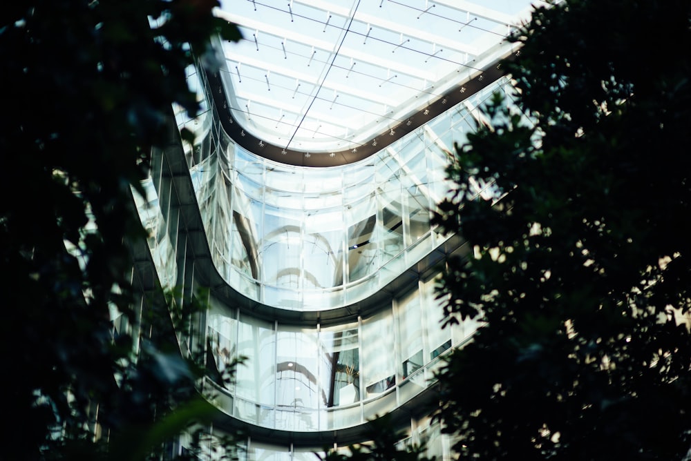 silhouette of trees near glass building