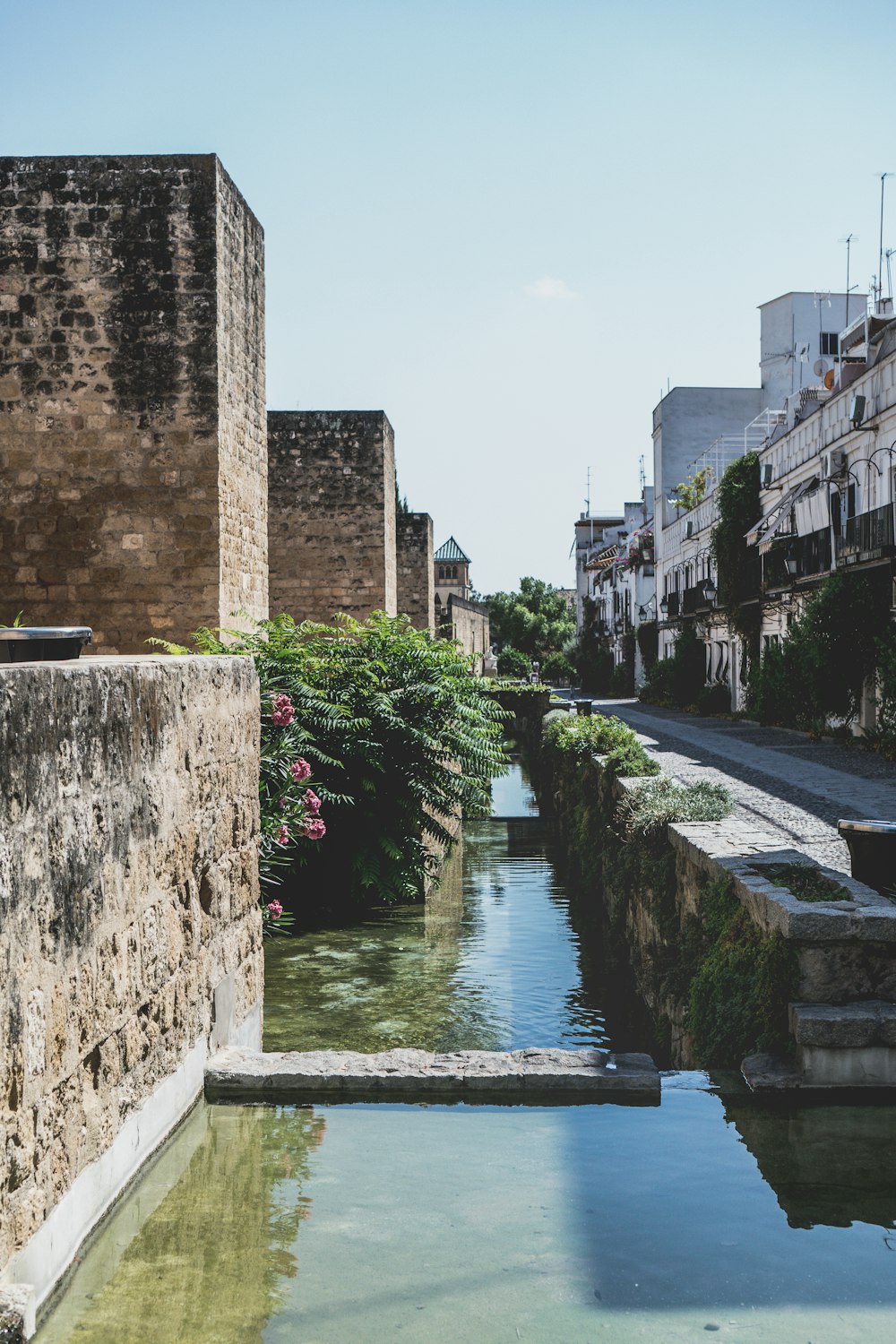 river between concrete buildings under blue sky during daytime