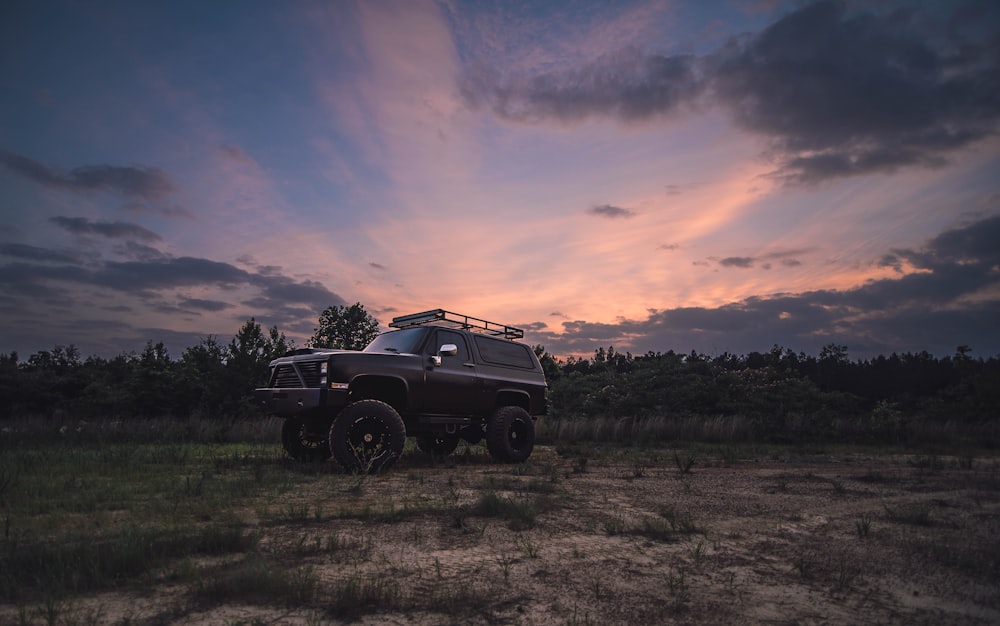 black SUV near green trees under cloudy sky