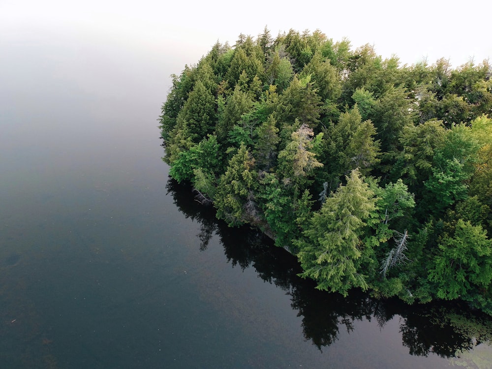 Fotografía aérea de una isla rodeada por un cuerpo de agua