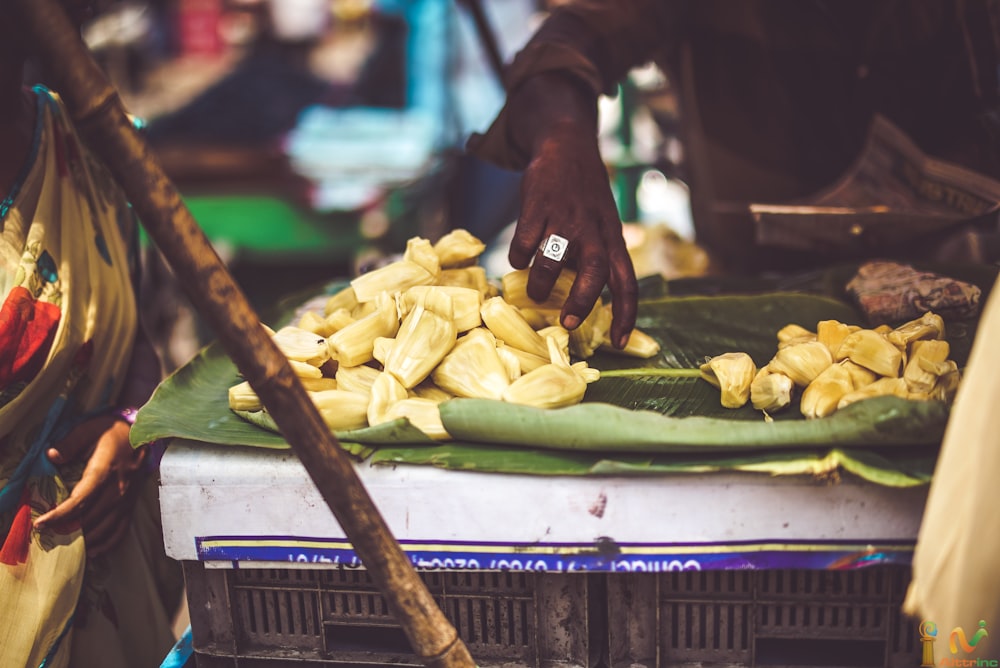 bunch of jackfruit pods