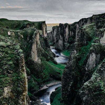 tp.web.random_picture