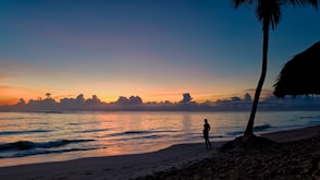 silhouette of person standing near body of water