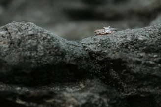 Two diamond rings rest delicately on a rough, textured rock surface, highlighting their sparkle against the muted stone background.