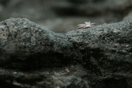 Two diamond rings rest delicately on a rough, textured rock surface, highlighting their sparkle against the muted stone background.