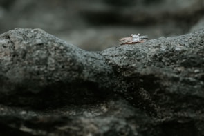 Two diamond rings rest delicately on a rough, textured rock surface, highlighting their sparkle against the muted stone background.