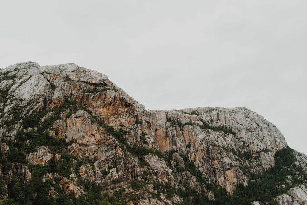 landscape photo of mountain with green plants