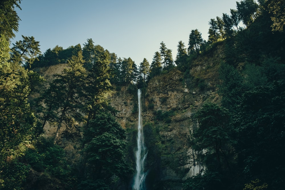 closeup photography of waterfalls
