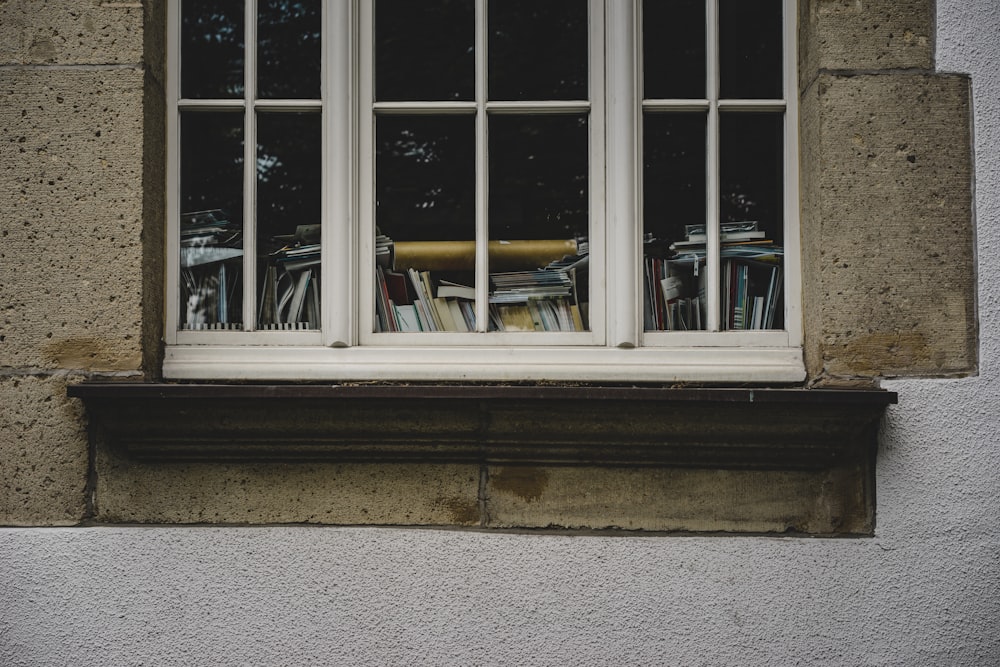 libros vistos por las ventanas