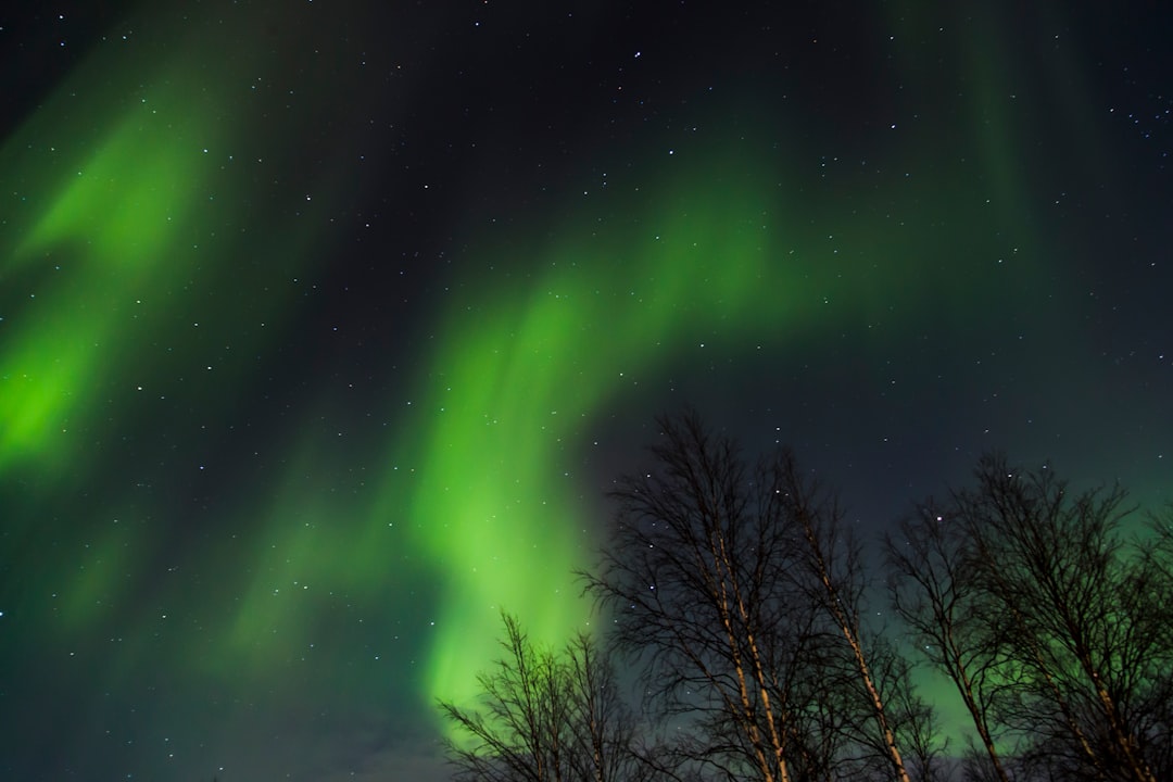 Auroras Boreales en Tromso, Noruega: todo lo que tienes que saber