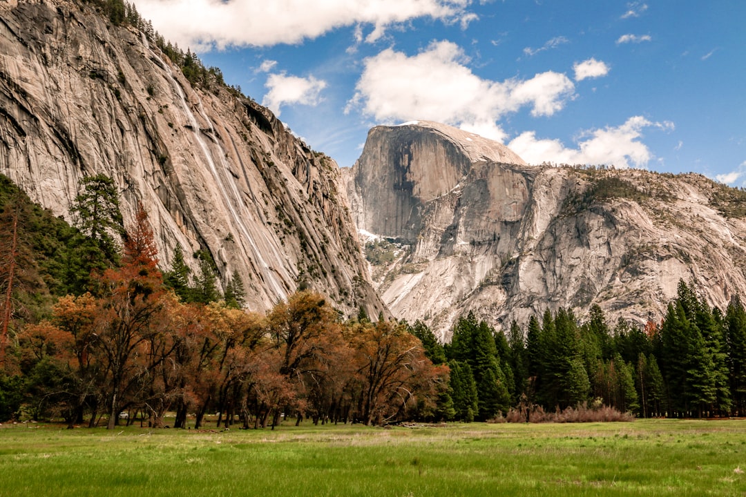 Yosemite Insider: Local Tips for an Unforgettable National Park Adv… — Yosemite Insider