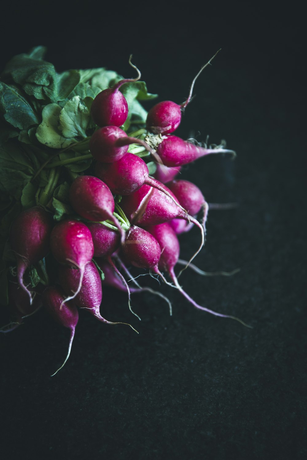 selective focus photography of red fruits