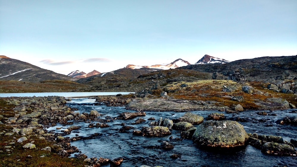 water stream with gray stones