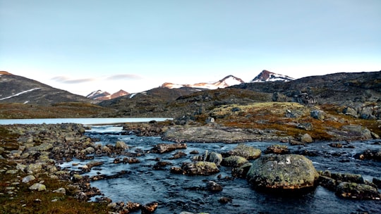 water stream with gray stones in Bøverdalen Norway