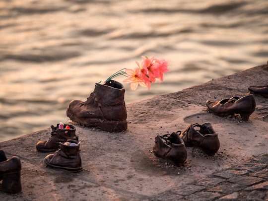 assorted brown leather footwear beside body of water in Shoes on the Danube Bank Hungary