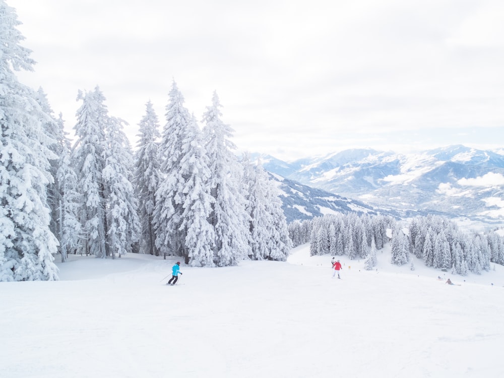 deux personnes skiant sur la neige avec des arbres pendant la journée