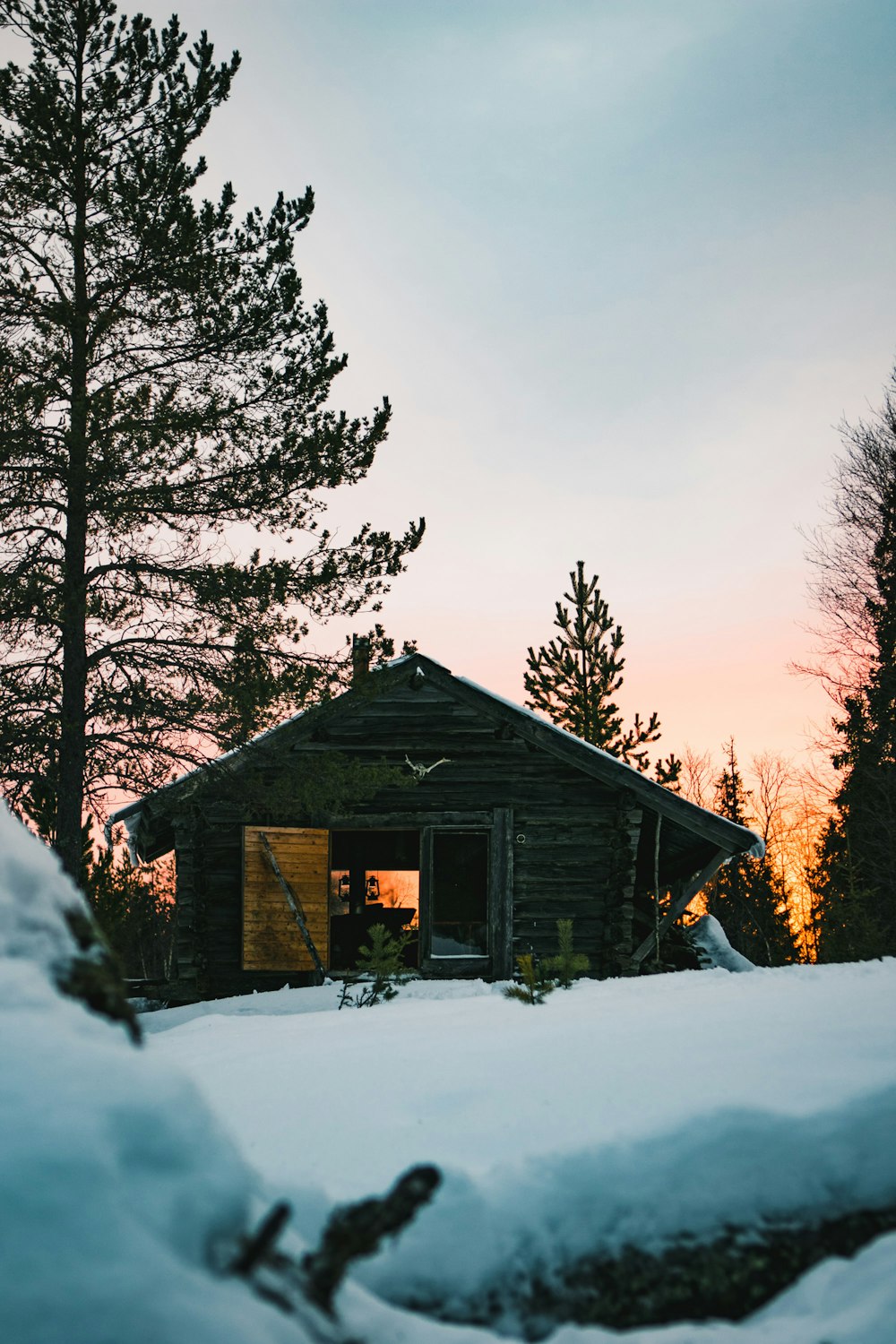 Fotografia da silhueta da casa perto do pinheiro coberto com neves