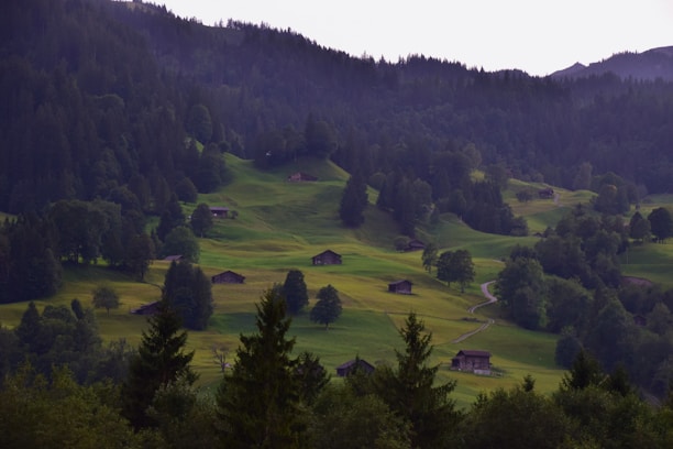 A scenic landscape surrounding the premium land in Campos do Jordão.