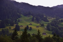 A picturesque mountainous landscape with lush green hills dotted with small wooden cabins and winding paths. The scene is framed by dense, dark forested areas, creating a serene and tranquil environment.