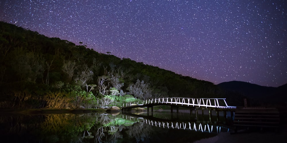 Puente de arco de madera marrón con luces blancas bajo cielos estrellados