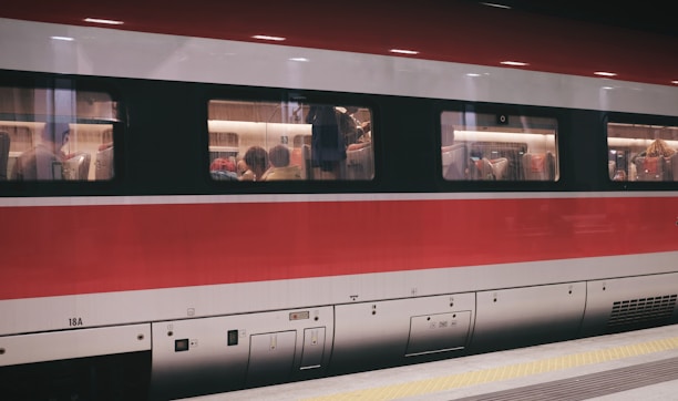 group of people inside red and gray train