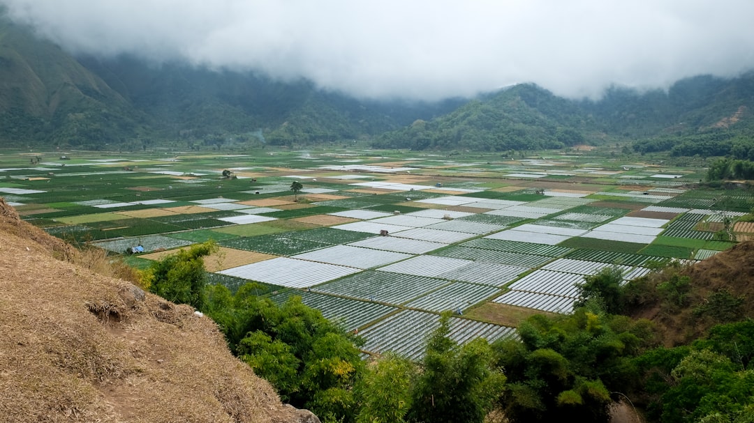 Plain photo spot Lombok Rinjani