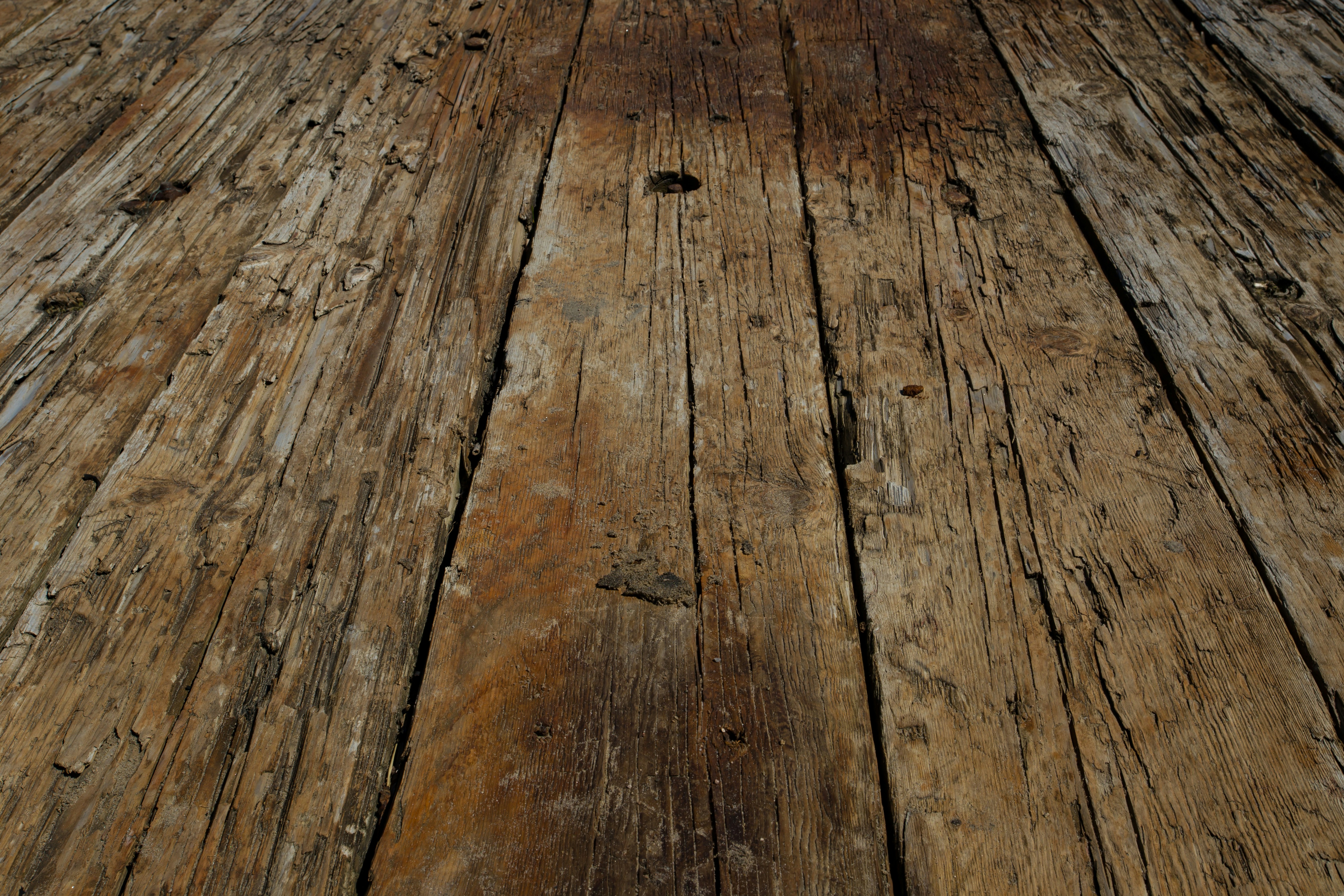 Mold Removal