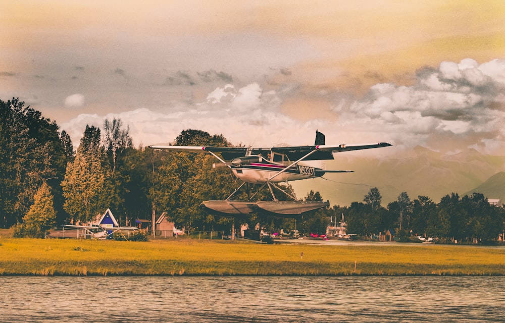 black and white amphibian plane about to touch body of water near houses beside treeline during golden hour photo